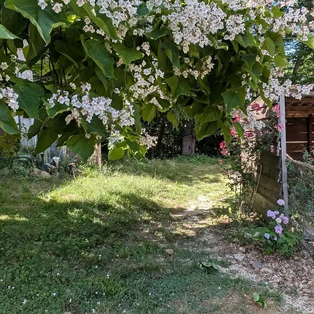 Domaine De Calabel Отель типа 