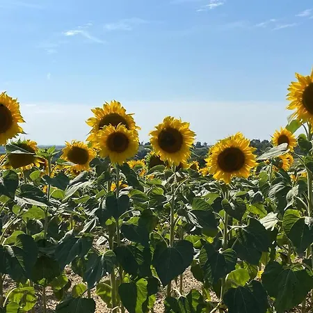 住宿加早餐酒店 Domaine De Calabel *