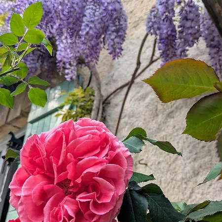 Domaine De Calabel Pouylebon